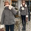 Short Fur Lapel Thickened Warm Jacket with Dechable Hood
