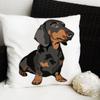 Fashion Colorful Dog Printed Cushion Cover Home Dachshund Decorative Sofa Coffee Car Chair Throw Pillow Case Almofada Cojines