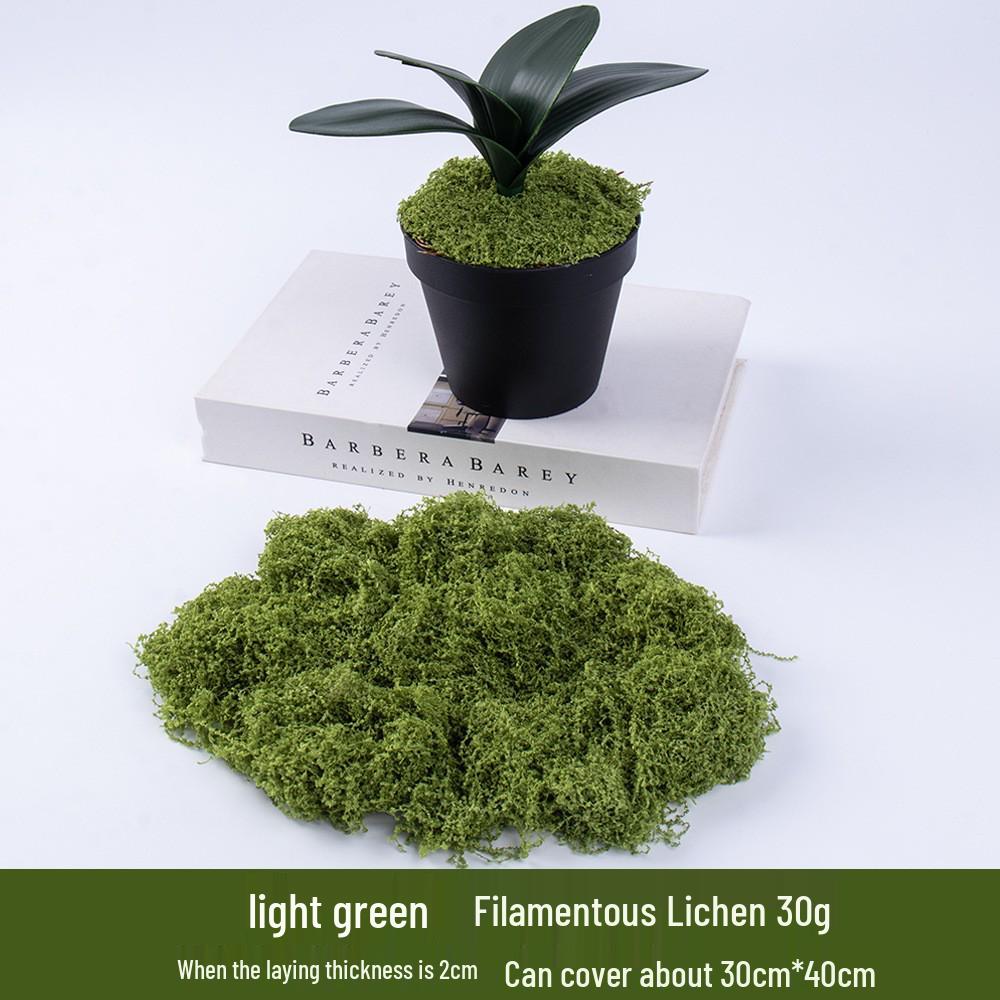 Artificial Moss Turf Landscape Ornament for Bonsai & Potted Plant Decoration