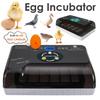 AC 110-220В Автоматический инкубатор на 20 куриных яиц, инкубатор большой вместимости, цифровой контроль температуры, брудер, качественная инкубационная машина, черно-белый