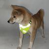 Anti accidental Pet Reflective Scarf Anti-lost Dog Saliva Towel Pet Drool Scarve  Pet Collars