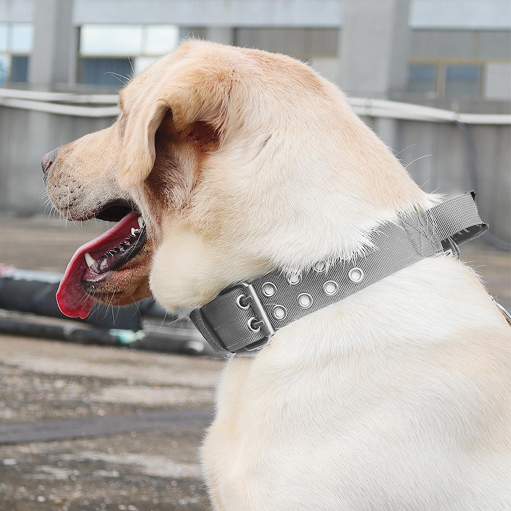 Светоотражающий ошейник для собак Прочные ошейники для средних и крупных собак Прочные нейлоновые ошейники для собак с ручкой Нержавеющая фурнитура Военный тактический ошейник для домашних животных