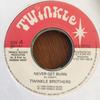 7-дюймовая пластинка TWINKLE BROTHERS Never Get Burn NG143 Twinkle Music UK Reggae Ska Dub Б/у