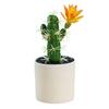 Mini Bonsai Non-Fading Landscaping Plastic Simulation Succulent Plants Table Decoration
