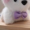 Cute Heartfelt Plush Dog Bean Bear Keychain Gift With Customizable Colors And Design