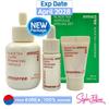 Black Tea Youth Enhancing Ampoule 50ml Special Set (Include 3 Items)