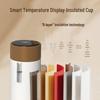 Hezheng Ear Care Gift CN plug (adapter included)