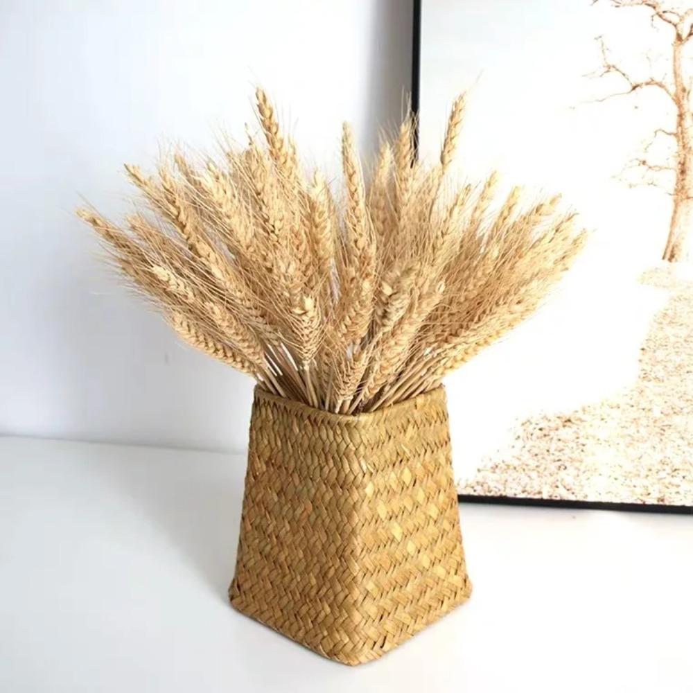 50pcs Rustic Dried Wheat Stalks Natural Dried Flowers Dry Wheat Spikes Holiday Festival Decoration
