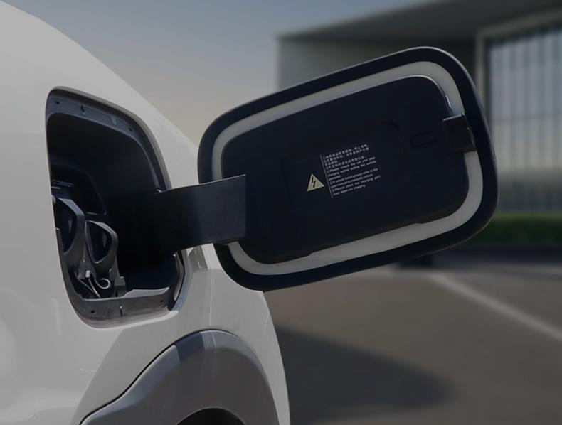 2 шт. заглушка для автомобильного зарядного порта, пылезащитная крышка для BYD Dolphin mini 2025 2024, резиновое уплотнительное кольцо для зарядного порта, наклейка, аксессуары