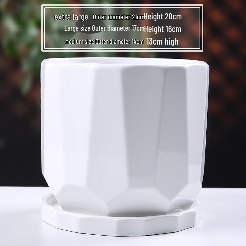 Simple White Ceramic Flower Pot with Base for Indoor Plants - Available in Large and Extra Large