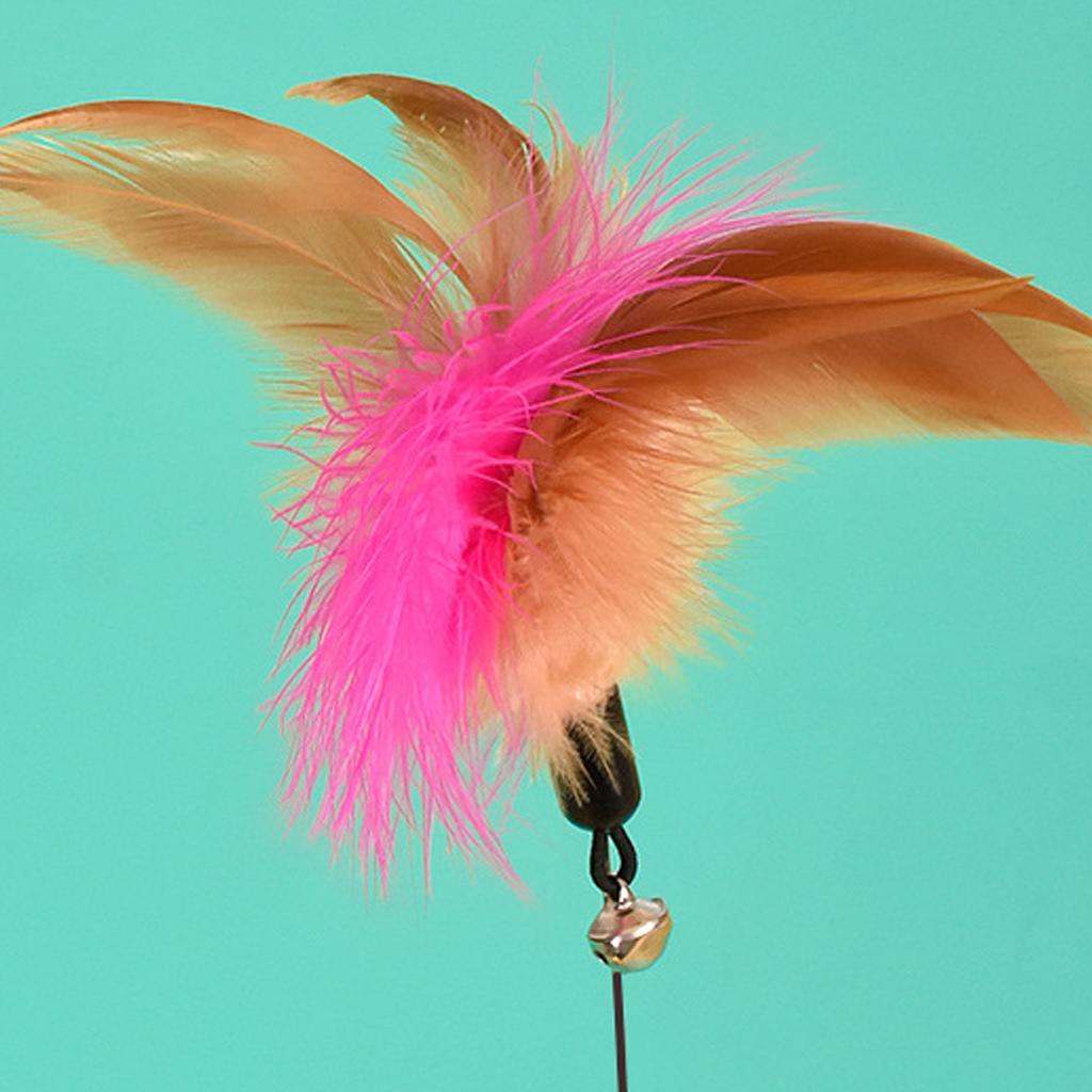 Silicone Collar Cat Teaser, Pet Collar Cat Teaser, Spring Bell Feather Cat Teaser, Cat Toy