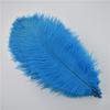 10Pcs/Lot 25-30Cm Ostrich Feathers For Crafts Party Decoration Jewelry Creation Natural Feather For Needlework And Handicrafts