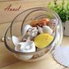 Fantastic 100g Mixed Sea Beach Shells Crafts Seashells Aquarium Decor Photo Props