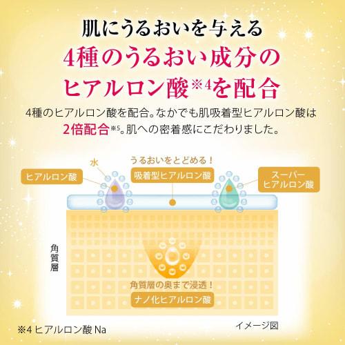 Hada Labo Nougokujun Все-в-одном Идеальный гель Сменный блок 80г набор из 2 штук + саше Gokujun в комплекте