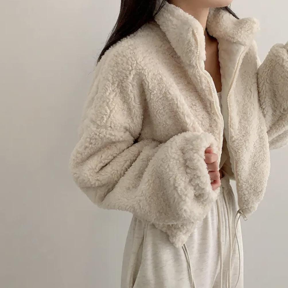 Fashion small Korean chic autumn and winter new temperament stand-up collar zipper imitation plush versatile short coat women's tide