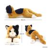 Ninian and Kino Lying Down Calico Approximately 47cm Realistic Plush Looks Just Like the Real Thing Kitten, Long, Cat,