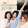 SAST A66 Домашняя KTV Караоке Микрофонная Акустическая Система Штекер CN (адаптер в комплекте)