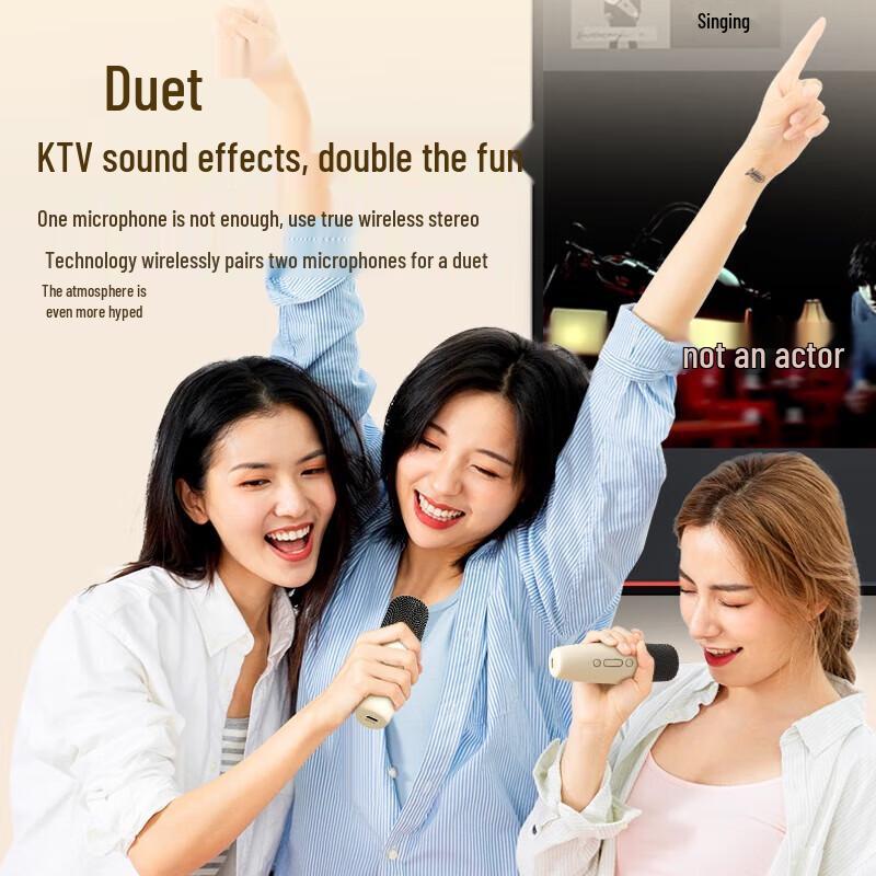 SAST A66 Домашняя KTV Караоке Микрофонная Акустическая Система Штекер CN (адаптер в комплекте)