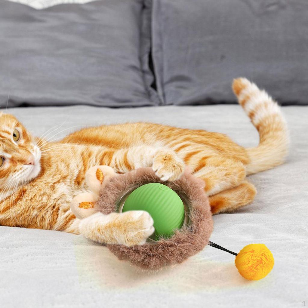 Cat Toy Ball for Indoor Play, Electric Rolling Kittens