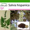 Mexican Chia - 500 Seeds - With Potting Substrate for Better Cultivation - Salvia Hispanica