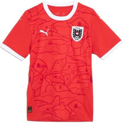 Футболка мужская с круглым вырезом и коротким рукавом Austria 24 Fashion Print Red Dark-Red 774010-01