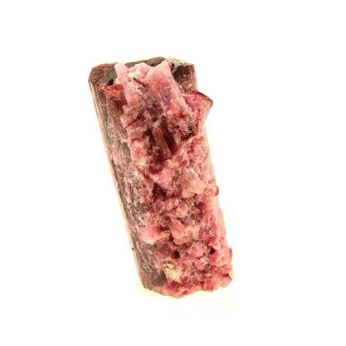 Pierres et Minéraux. Tourmaline Rubellite. 328.0 ct. Cruzeiro mine, Minas Gerais, Brésil.