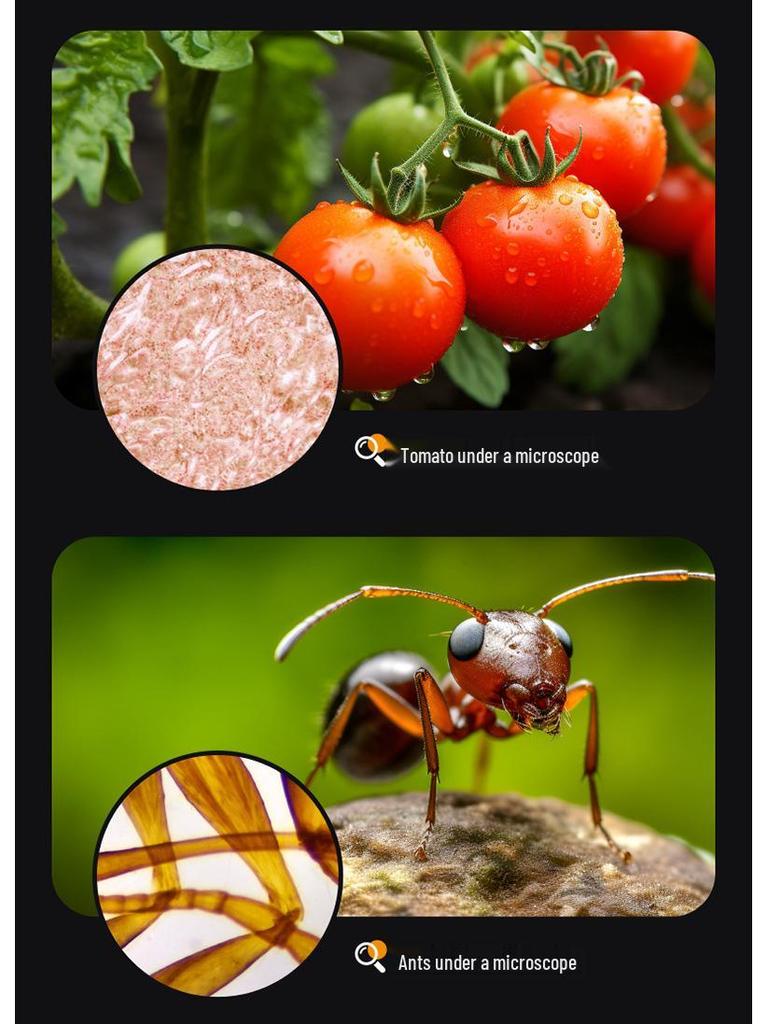 Портативный детский микроскоп, научный набор: Развивающая игрушка для учеников начальной школы, идеальный подарок для мальчиков и девочек