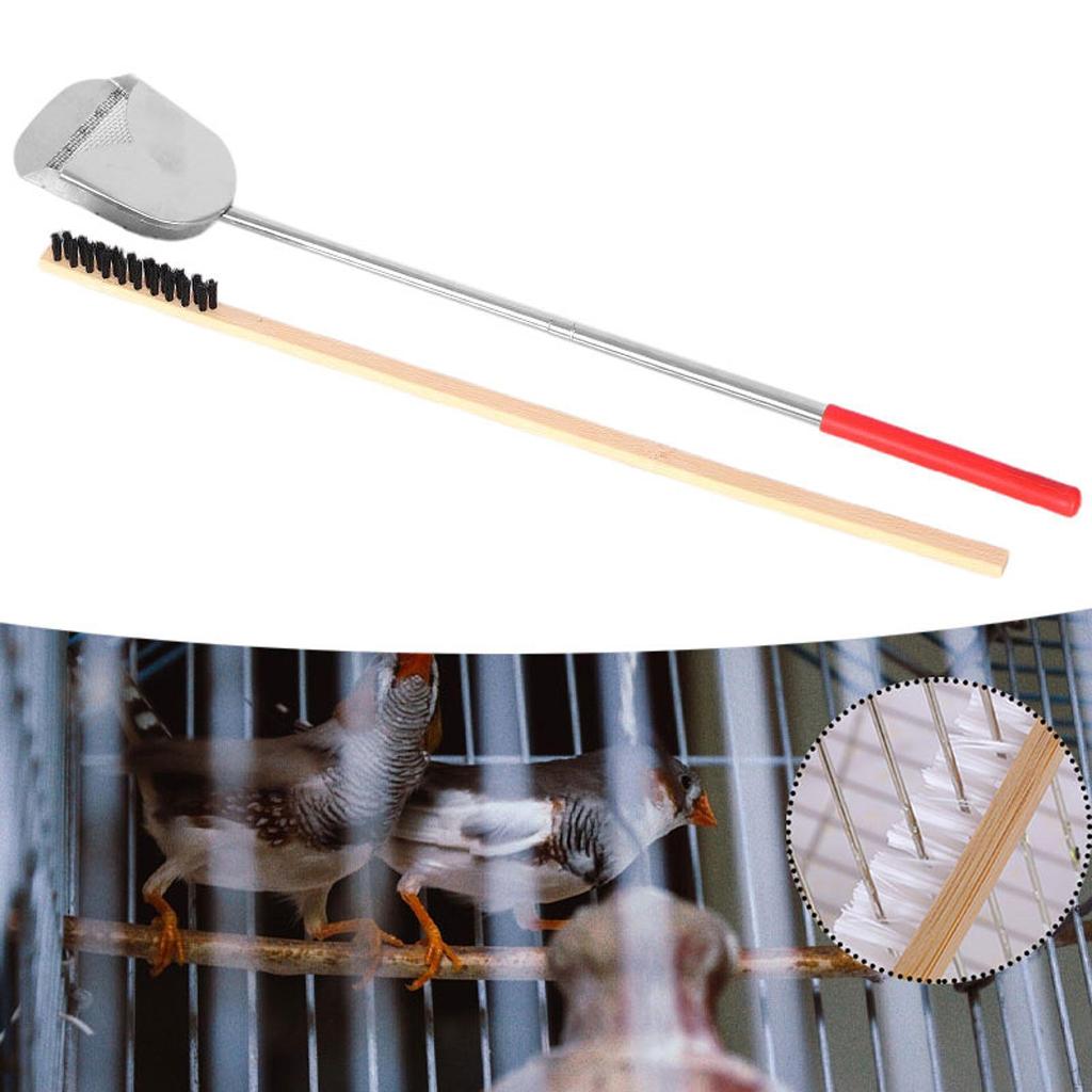 Набор совков для удаления птиц и щетка для чистки для ара