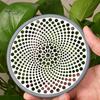 Stainless Steel Floor Drain Filter Hair Catcher with Silicone Ring Rust-Resistant Bathroom Sink Strainer Shower Drain Hair Trap Stopper