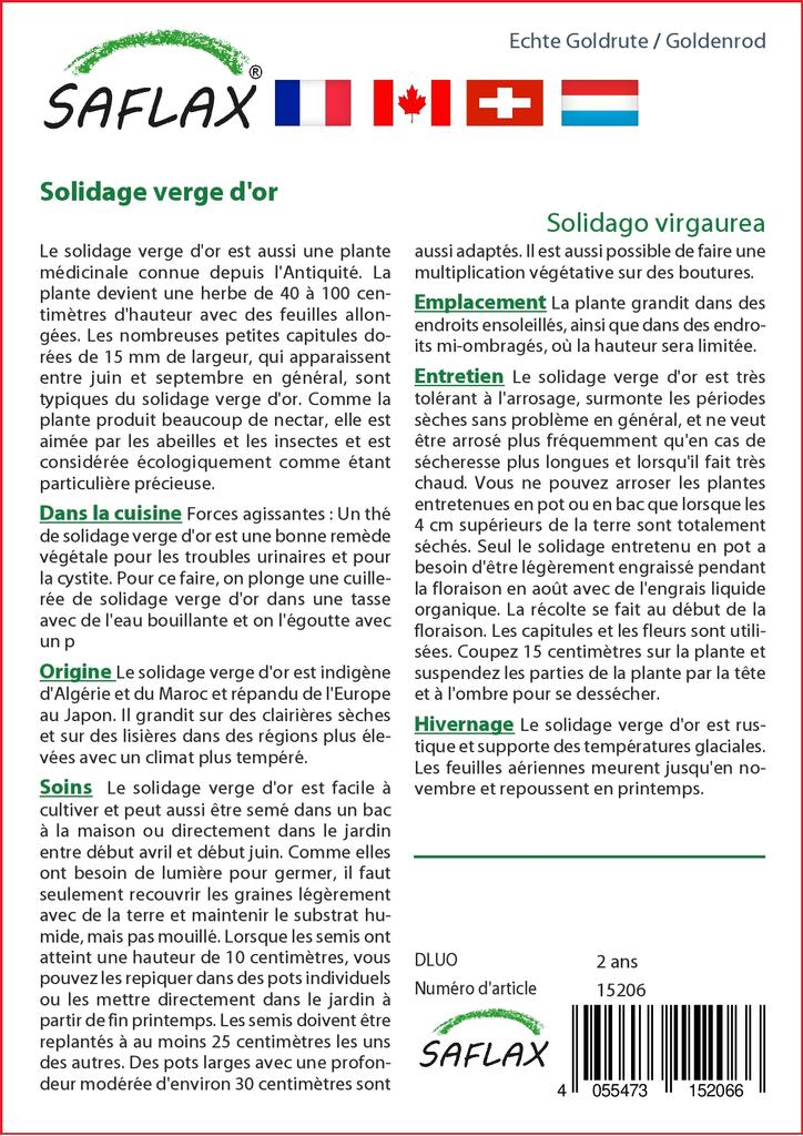 SAFLAX Garden in the Bag - Золотарник - 100 семян - С субстратом в подходящем пакете-стойке - Solidago virgaurea