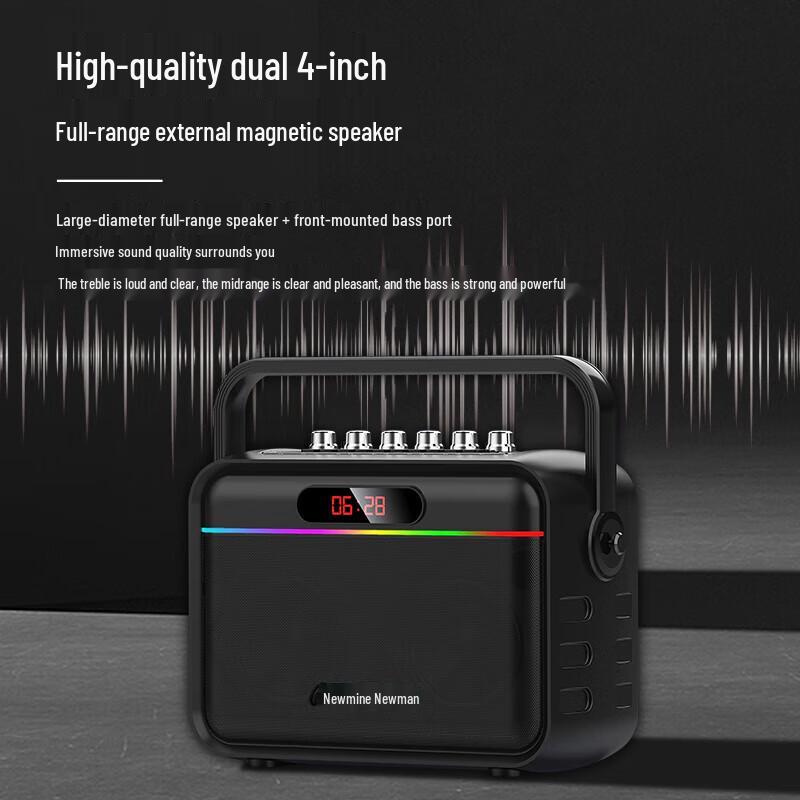 Newmine K112 Portable Bluetooth Karaoke Speaker
