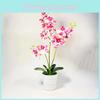 Искусственный Фаленопсис Декор с Реалистичной ПВХ Отделкой для Подарка и Дизайна Интерьера