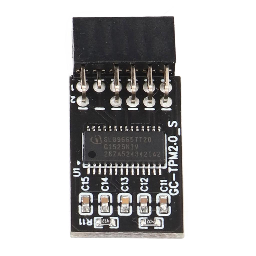 Модуль TPM 2.0 LPC SPI 12Pin Remote Card Encryption Security Board Аксессуар для GIGABYTE