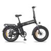 Electric Bike ENGWE EP-2 BOOST 3.0 20"×4.0" 250W 48V13.5Ah Folding E-Bike, Hydraulic Disc Brakes, LCD Display, Rear Cargo Rack for City Commuter