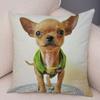Cute Pet Animal Pillowcase Decorative Cute Puppy Chihuahua Pillowcase Soft Plush Cushion Cover for Car Sofa Home 45x45cm