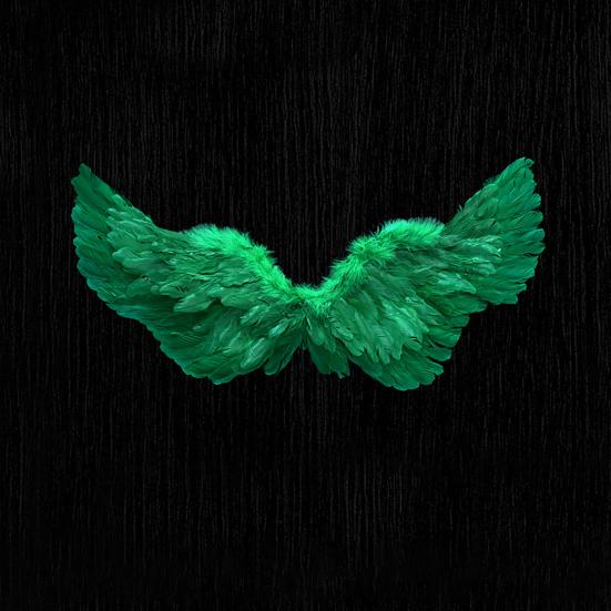 Дети Крылья Ангела Девочки Принцесса Костюм Регулируемые Перья Фея Крылья Косплей Сценическое Представление