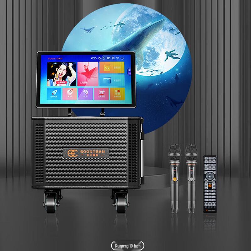 SG30 Series Portable Outdoor PA/Karaoke Speaker