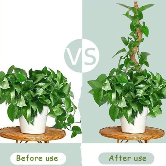 Moss Pole Kit Vertical Monstera Plant Support Coconut Fiber Support Pole Bendable Plant Stakes for Indoor Climbing Plants Home Gardening