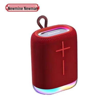Портативная Bluetooth-колонка Newman BT10, штекер CN (адаптер в комплекте)
