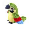 Kangaroo Parrot Doll, 22cm, Green, Popular Toys for Korean Children
