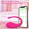 9 Speed APP Controlled Vaginal Vibrators G Spot Anal Vibrating Egg Massager Wearable Stimulator Adult Sex Toys for Women Couples