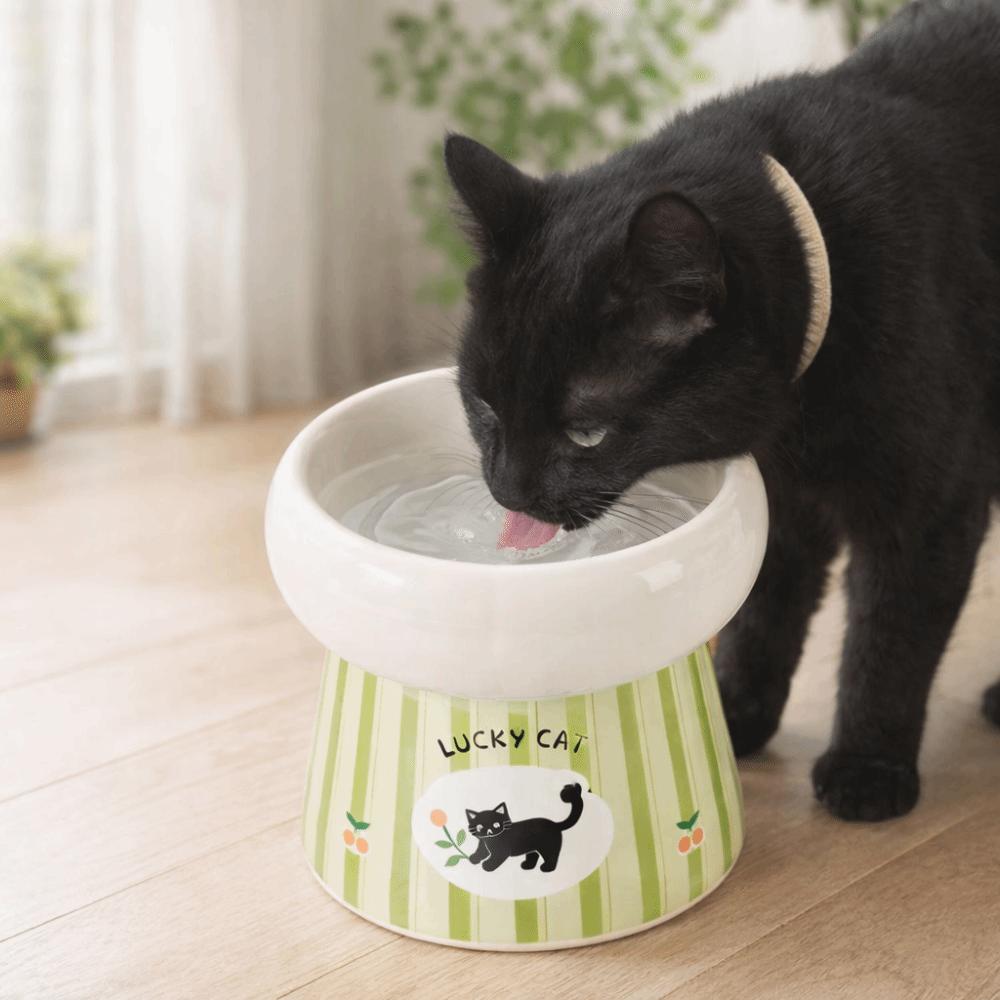 Wide Mouth Dog Food Feeder Anti-Slip Base Elevated Feeding Bowl  for Cats Dog Puppy