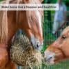 Haylage Net Durable Horse Care Products Small Holed Hay Net Haynet Equipment