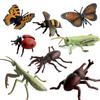 Sefod Realistic Insect Model Figure Animal Animal Model Birthday Christmas 8-Piece Toy, Toy, Doll, Decoration, Gift,