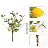 Green Leaves Lemon Fruit Branch with Flower Simulated Fruit Tree  Living Room Porch