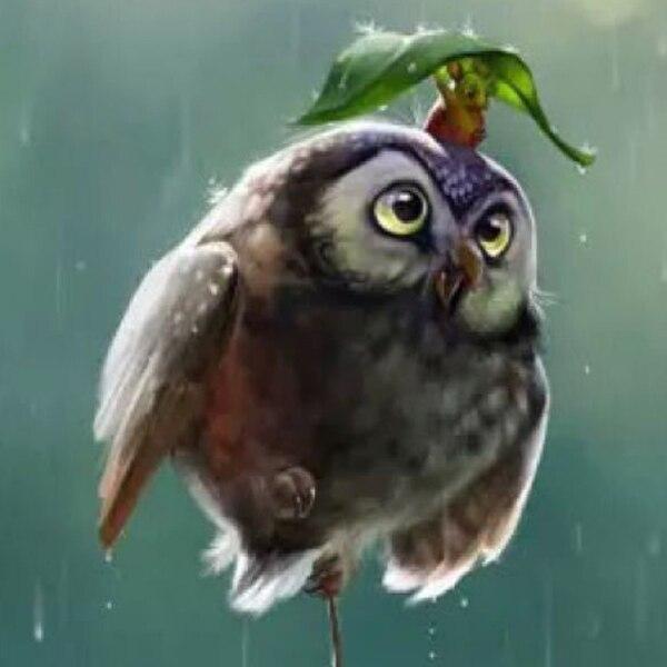 DIY Алмазная картина Цветок 5D Алмазная вышивка Крестом Лавандовая мозаика Фотографии Стена Art Craft Kit