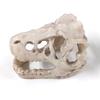 Resin Dinosaur Stone Statue Simulation Mini Crocodile Head Decoration Decorative Props Artificial Decor for Aquarium Landscaping