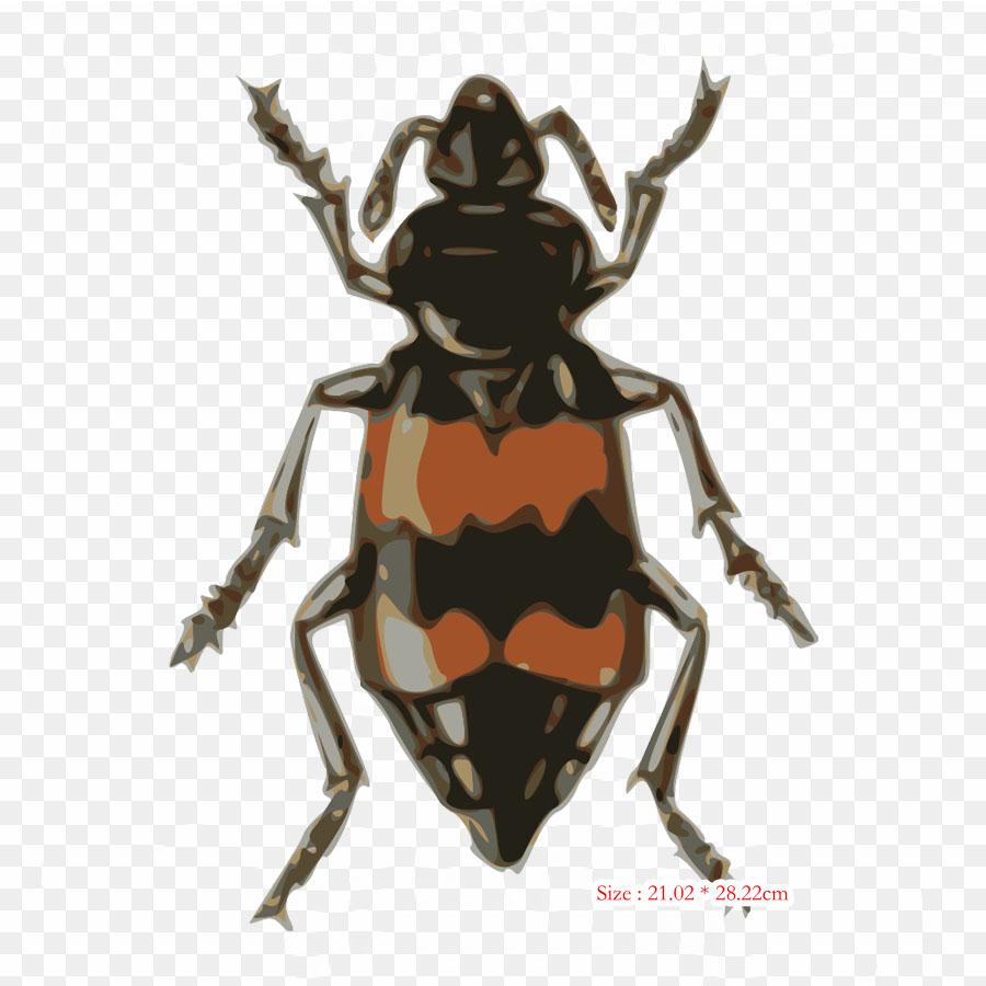 Beetle Bug June Iron On Heat Transfer Printing Vinyl Patches Sticker for Clothes DIY Appliques Washable Patches