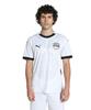 Лицензионная футболка EFA Гостевая реплика M Белая Футбол/Футзал Мужская Мужская