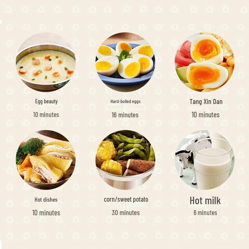 Bear Smart Double-Layer Egg Cooker and Steamer CN plug (adapter included)
